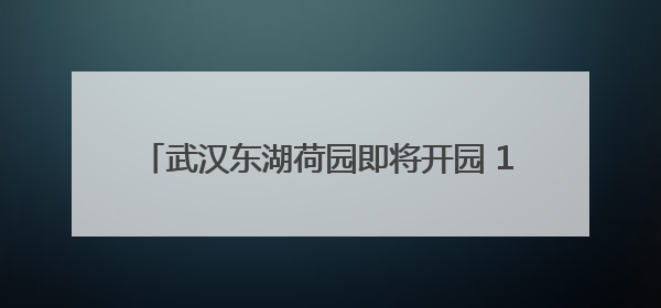 武汉东湖荷园即将开园 1200余种荷花竞相绽放