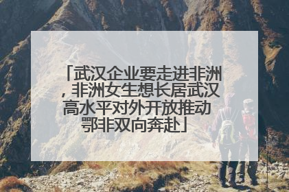武汉企业要走进非洲，非洲女生想长居武汉 高水平对外开放推动鄂非双向奔赴