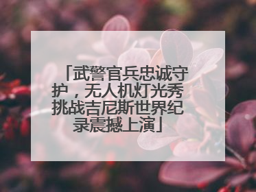 武警官兵忠诚守护，无人机灯光秀挑战吉尼斯世界纪录震撼上演