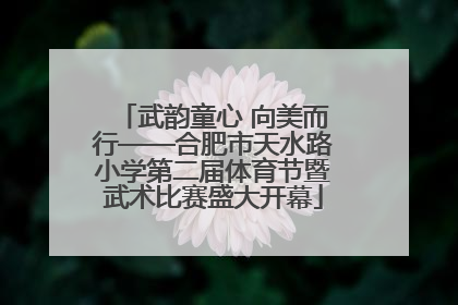 武韵童心 向美而行——合肥市天水路小学第二届体育节暨武术比赛盛大开幕
