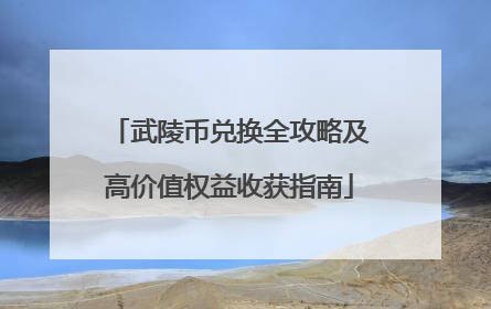 武陵币兑换全攻略及高价值权益收获指南