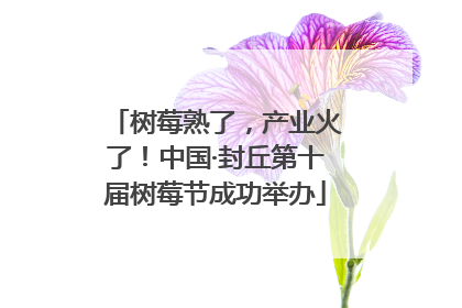 树莓熟了，产业火了！中国·封丘第十届树莓节成功举办