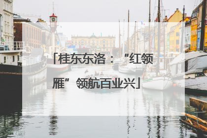 桂东东洛：“红领雁”领航百业兴