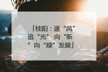 桂阳：逐“风”追“光” 向“新”向“绿”发展