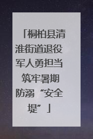 桐柏县清淮街道退役军人勇担当 筑牢暑期防溺“安全堤”
