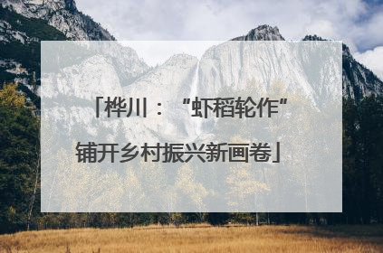 桦川：“虾稻轮作”铺开乡村振兴新画卷