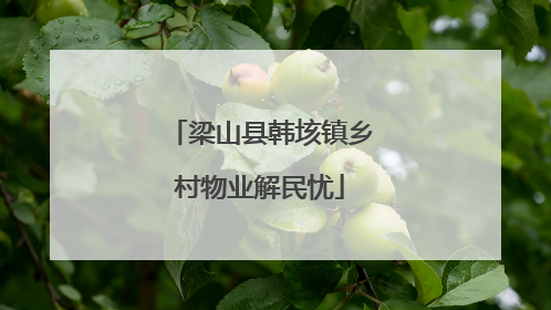 梁山县韩垓镇乡村物业解民忧