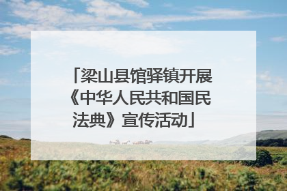 梁山县馆驿镇开展《中华人民共和国民法典》宣传活动