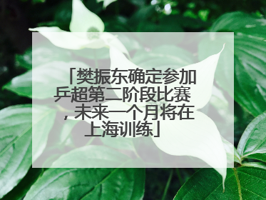 樊振东确定参加乒超第二阶段比赛，未来一个月将在上海训练