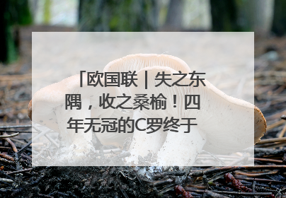 欧国联｜失之东隅，收之桑榆！四年无冠的C罗终于再次举起奖杯