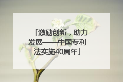 激励创新，助力发展——中国专利法实施40周年
