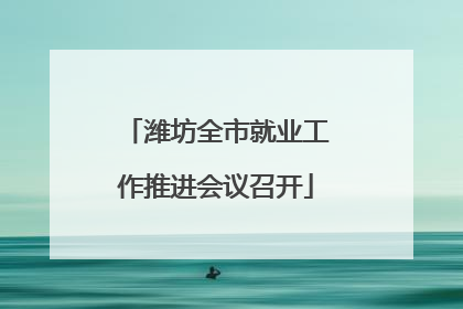潍坊全市就业工作推进会议召开