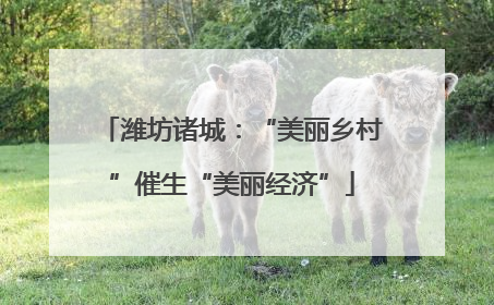 潍坊诸城：“美丽乡村”催生“美丽经济”