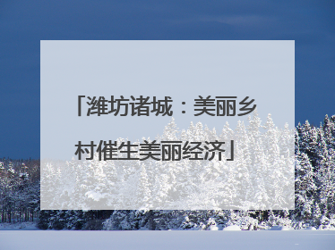 潍坊诸城：美丽乡村催生美丽经济