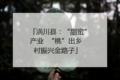 潢川县：“甜蜜”产业  “桃”出乡村振兴金路子