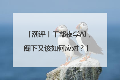 潮评丨干部夜学AI，阁下又该如何应对？