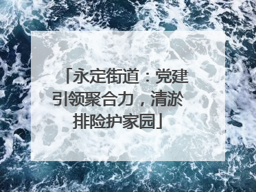 永定街道：党建引领聚合力，清淤排险护家园