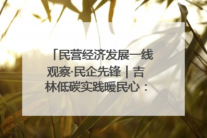 民营经济发展一线观察·民企先锋｜吉林低碳实践暖民心：太阳能供暖技术为北方清洁取暖破局