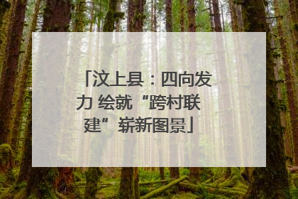 汶上县：四向发力 绘就“跨村联建”崭新图景