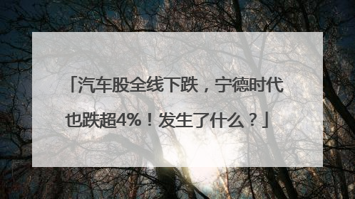 汽车股全线下跌，宁德时代也跌超4%！发生了什么？