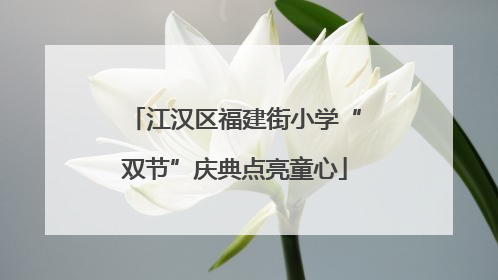 江汉区福建街小学“双节”庆典点亮童心