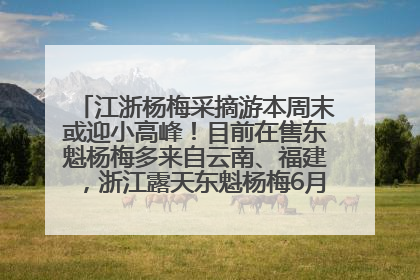 江浙杨梅采摘游本周末或迎小高峰！目前在售东魁杨梅多来自云南、福建，浙江露天东魁杨梅6月中旬大量上市