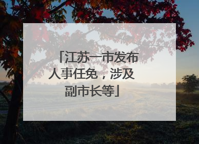 江苏一市发布人事任免，涉及副市长等