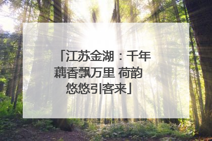 江苏金湖：千年藕香飘万里 荷韵悠悠引客来