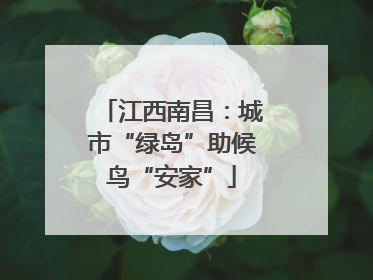 江西南昌：城市“绿岛”助候鸟“安家”