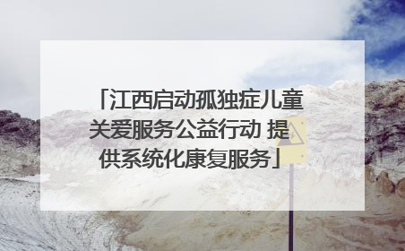 江西启动孤独症儿童关爱服务公益行动 提供系统化康复服务