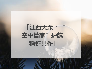 江西大余：“空中管家”护航稻虾共作