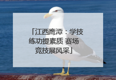 江西鹰潭：学技练功提素质 赛场竞技展风采