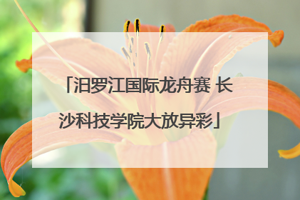 汨罗江国际龙舟赛 长沙科技学院大放异彩