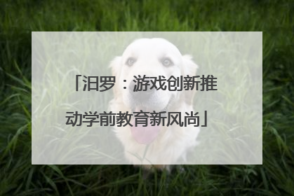 汨罗：游戏创新推动学前教育新风尚