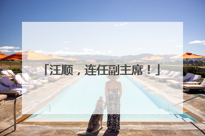 汪顺，连任副主席！