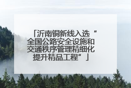 沂南铜新线入选“全国公路安全设施和交通秩序管理精细化提升精品工程”