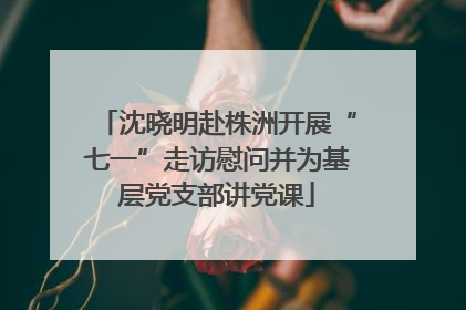 沈晓明赴株洲开展“七一”走访慰问并为基层党支部讲党课