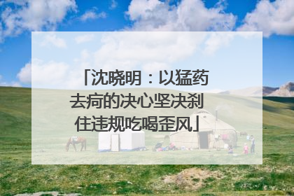 沈晓明：以猛药去疴的决心坚决刹住违规吃喝歪风