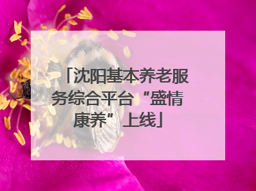 沈阳基本养老服务综合平台“盛情康养”上线