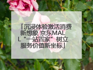 沉浸体验激活消费新想象 京东MALL“一站置家”树立服务价值新坐标