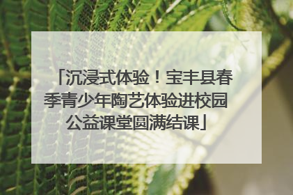 沉浸式体验！宝丰县春季青少年陶艺体验进校园公益课堂圆满结课