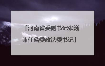 河南省委副书记张巍兼任省委政法委书记