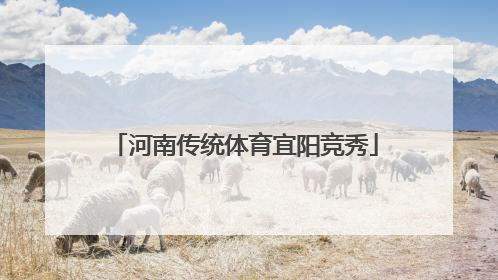 河南传统体育宜阳竞秀