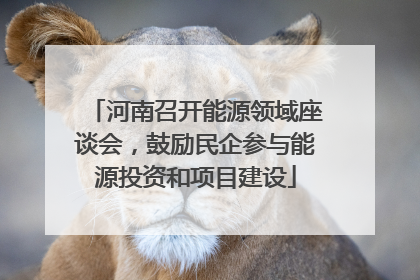 河南召开能源领域座谈会，鼓励民企参与能源投资和项目建设
