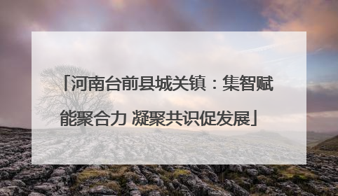 河南台前县城关镇：集智赋能聚合力 凝聚共识促发展