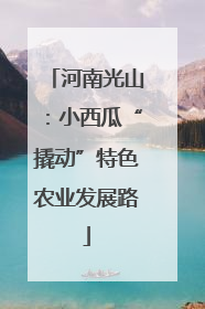 河南光山：小西瓜“撬动”特色农业发展路