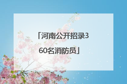 河南公开招录360名消防员