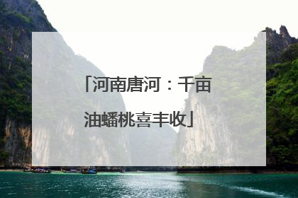 河南唐河：千亩油蟠桃喜丰收