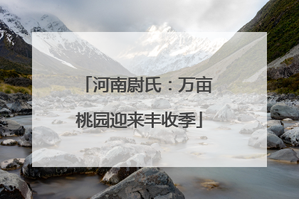 河南尉氏：万亩桃园迎来丰收季