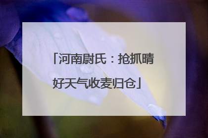 河南尉氏：抢抓晴好天气收麦归仓
